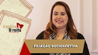 Explica Direito Filiação Socioafetiva  2019 [upl. by Solomon419]